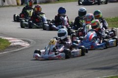 IMG_1181
